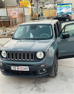 جيب رينيجيد